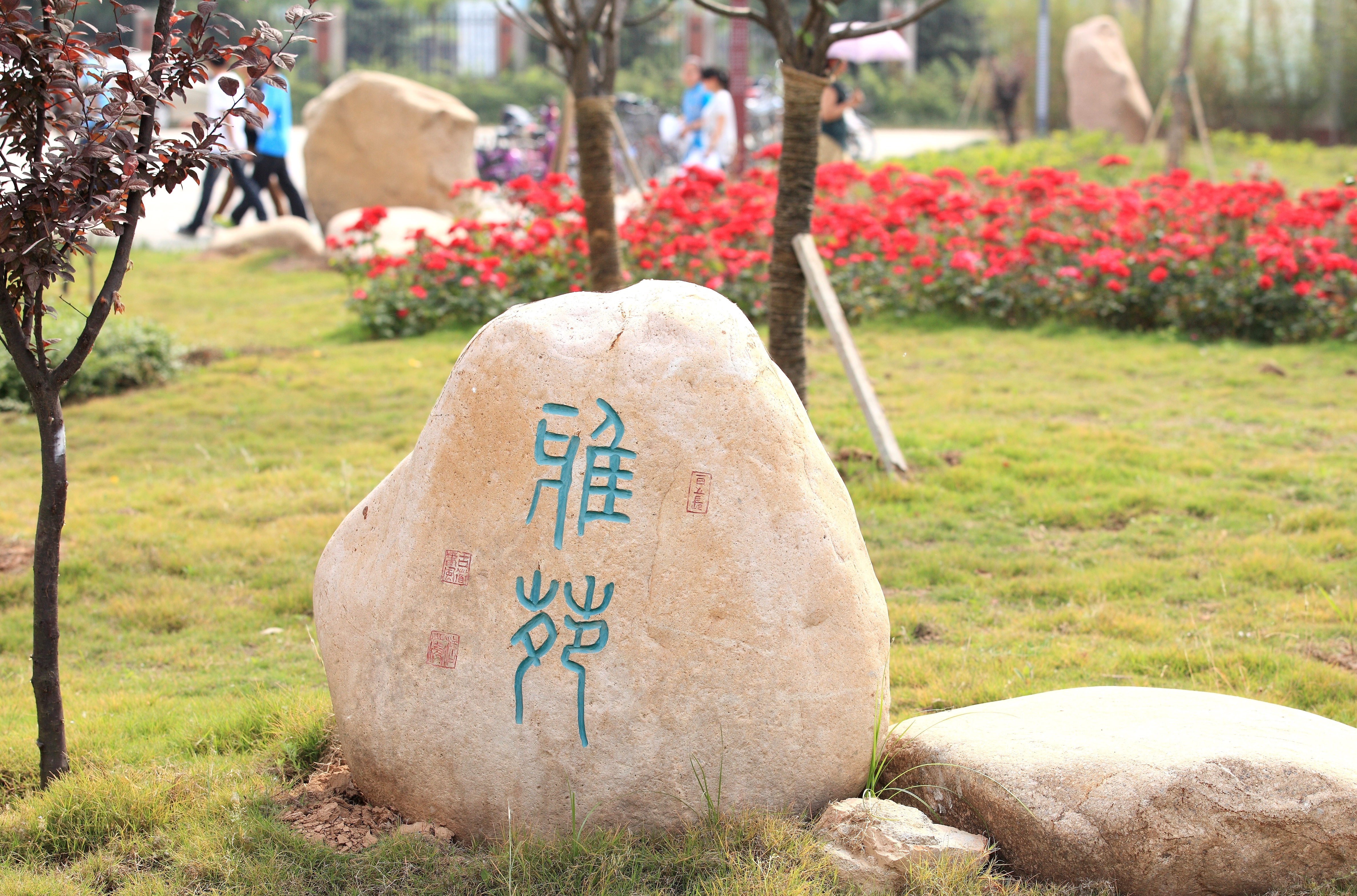 校园景色 (28).jpg