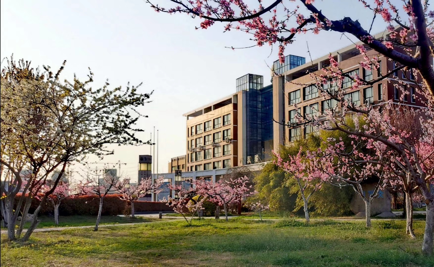 2020春天来了 淮北市实验高级中学1.jpg