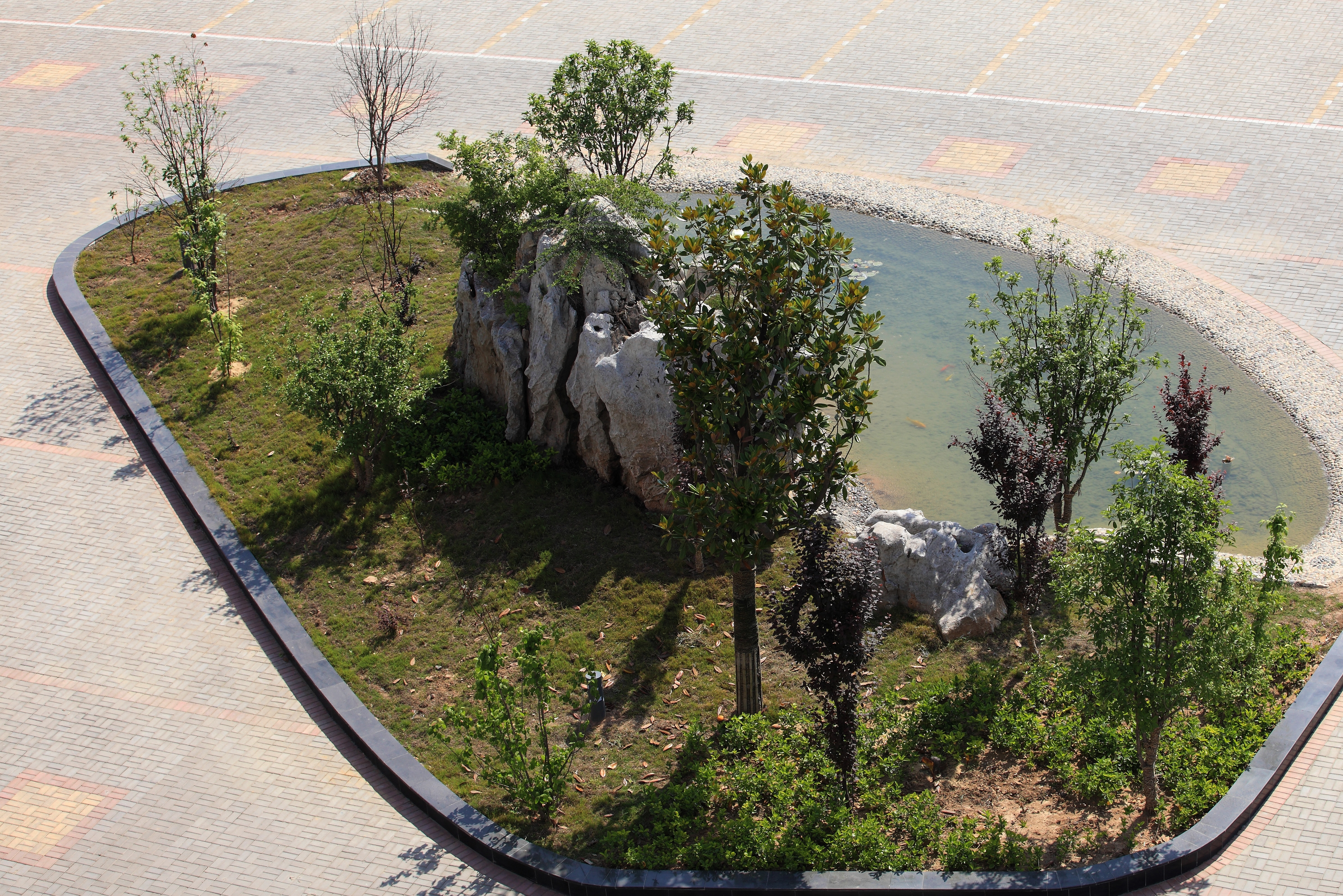 校园景色 (29).jpg