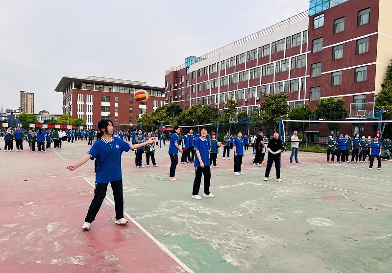 排球联赛 (3) - 副本.png