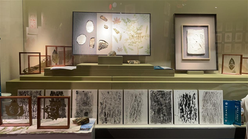 图片5.png 图片5.png