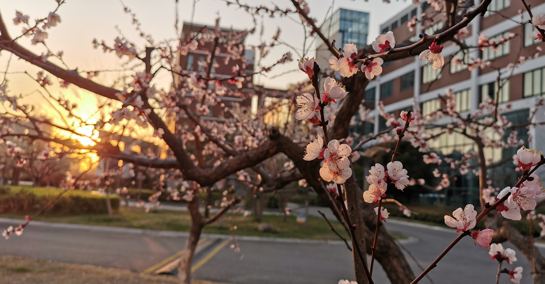 淮北市实验高级中学2025年体育特长生招生简章