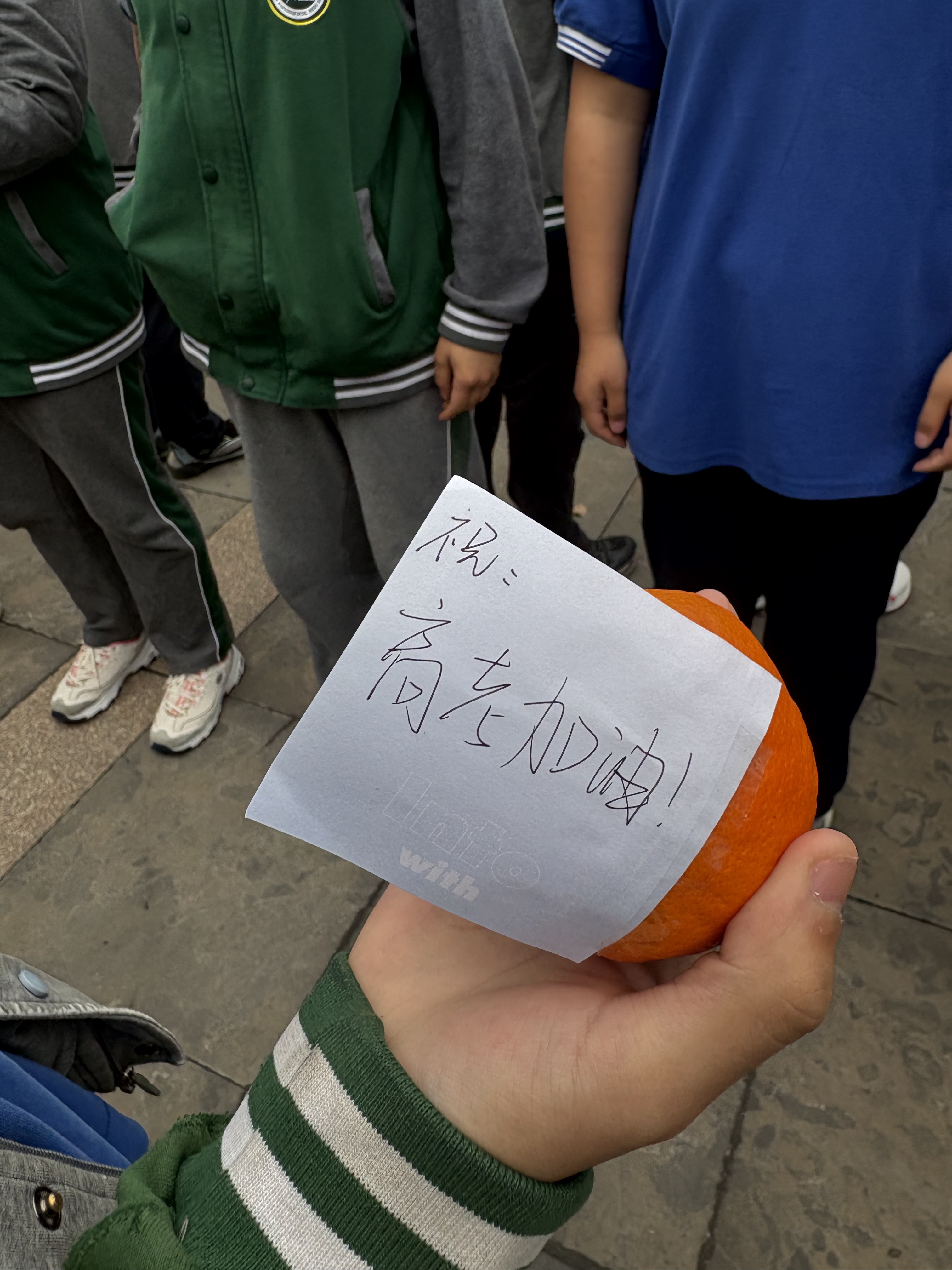 D1DB6E596F1B1A1F60E53C37EB33EDEA.png